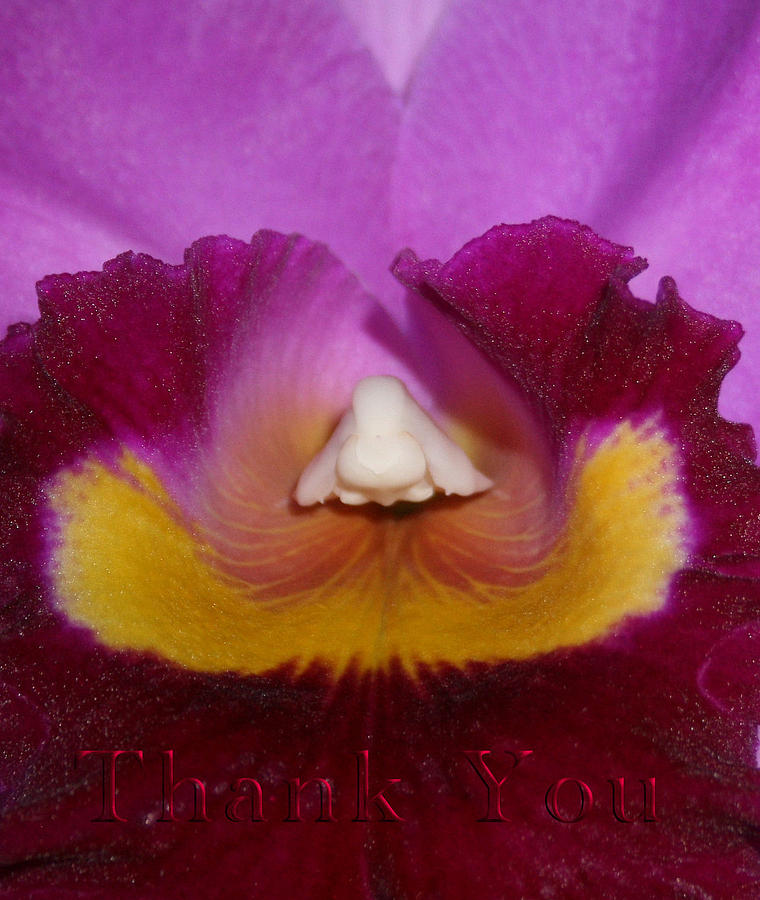 Flower Photograph - Orchid Nose and a reminder to utter the words Thank You. by Raenell Ochampaugh