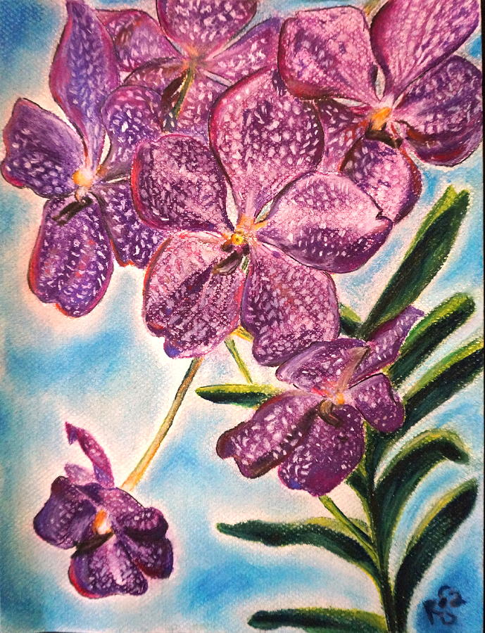 Orchid Drawing - Orchid by Rosa Garcia Sanchez
