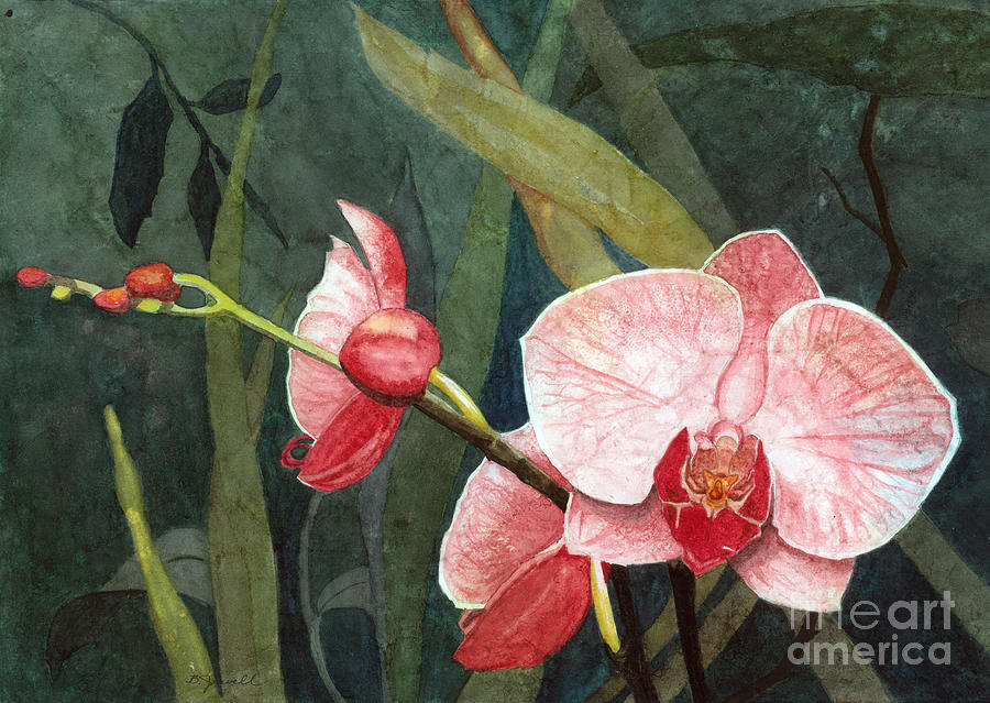Orchid Trio 2 Painting by Barbara Jewell