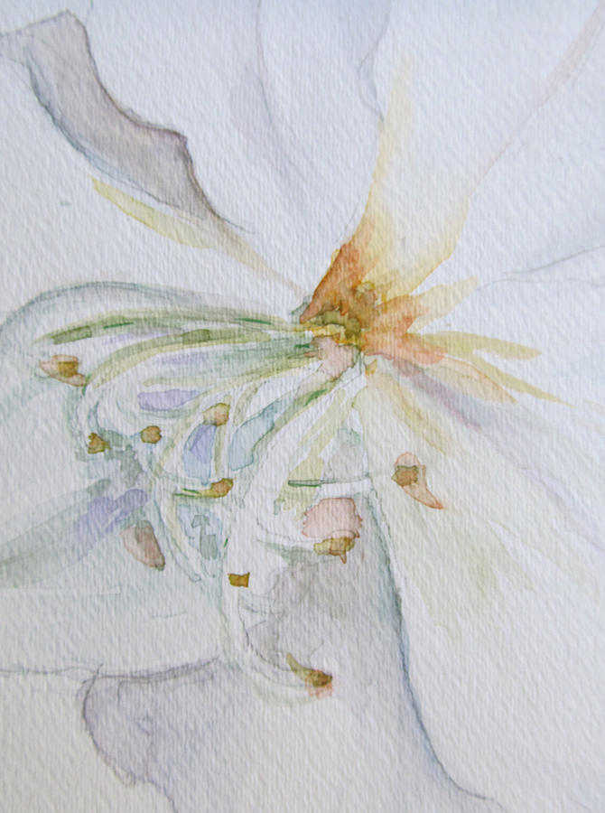 Orchid Watercolor Painting by Melinda Saminski