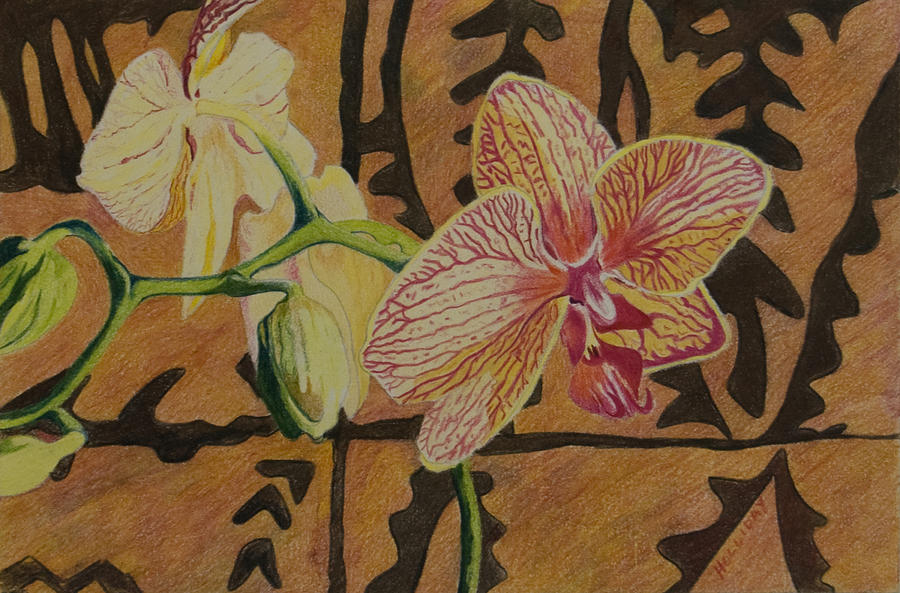 Orchid with Tapa Drawing by Terry Holliday