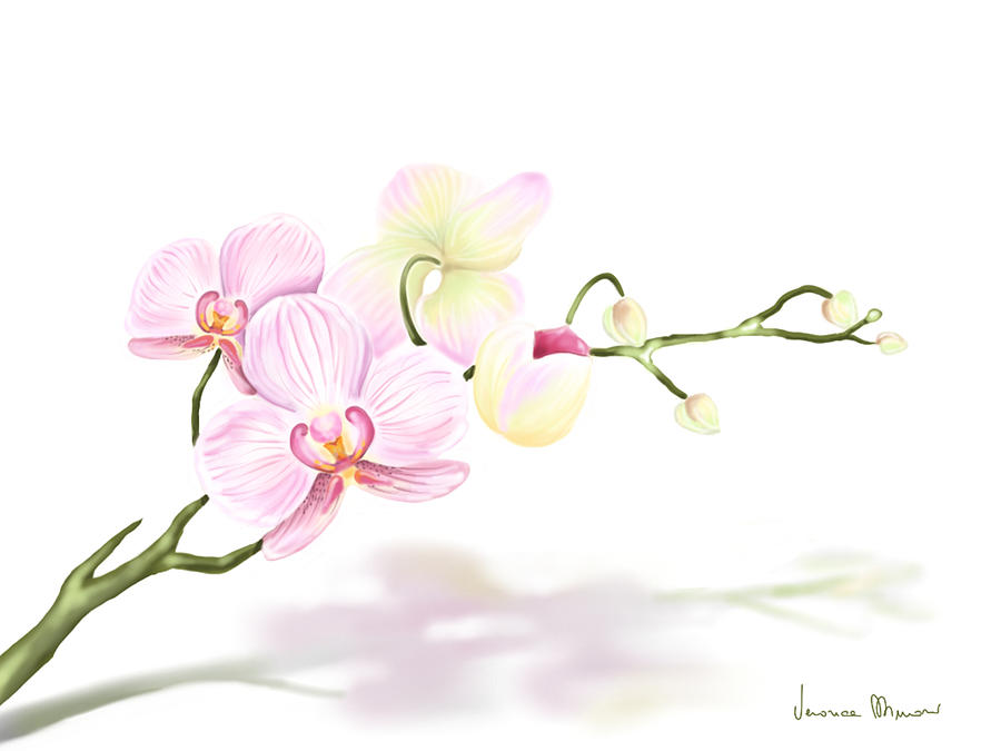 Orchidea Painting by Veronica Minozzi