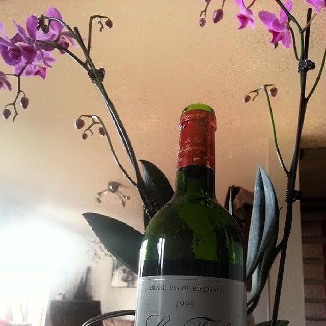 Wine Photograph - #orchidee #vin #bordeaux  #cestdimanche by Sam Fandemazul