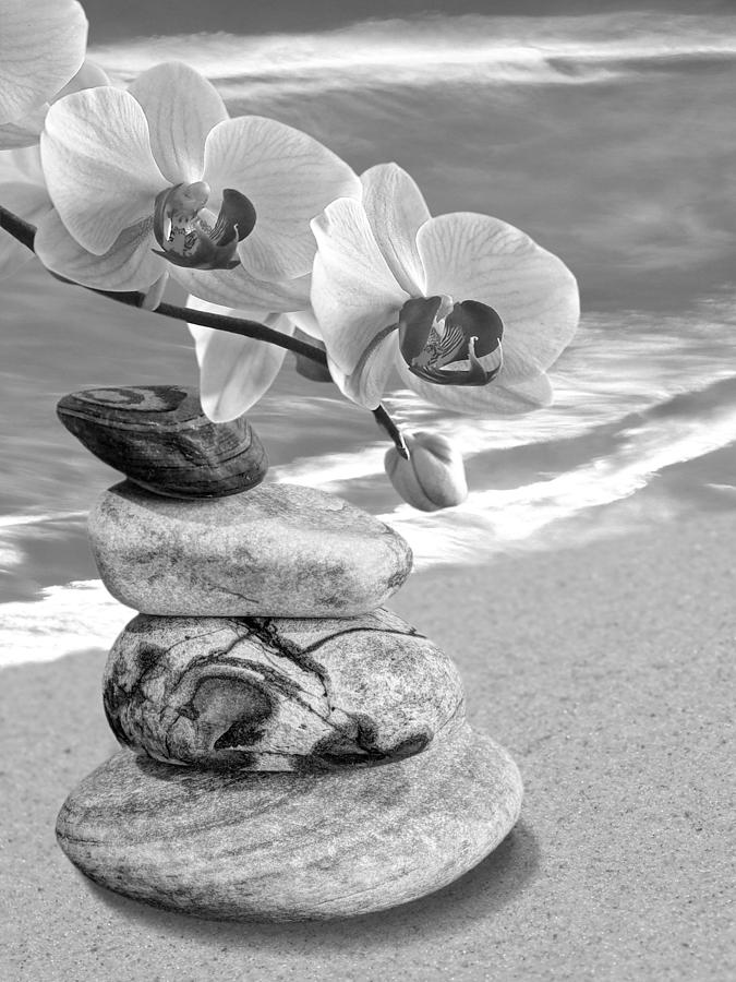 Orchids and Pebbles on the Sand in Black and White Photograph by Gill Billington