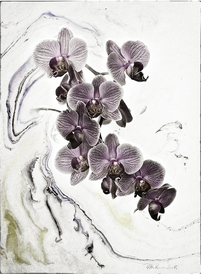 Orchids and suminagashi Mixed Media by Peter V Quenter