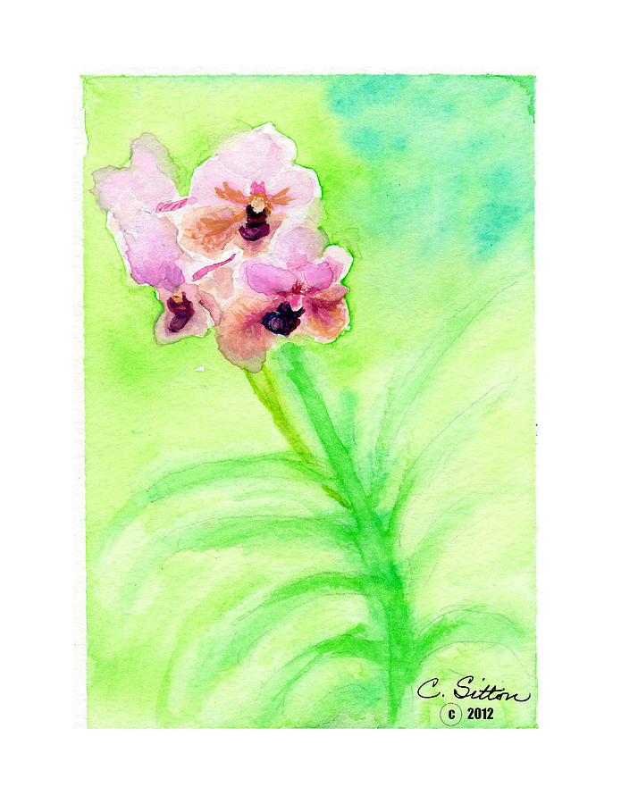 Orchids Painting by C Sitton