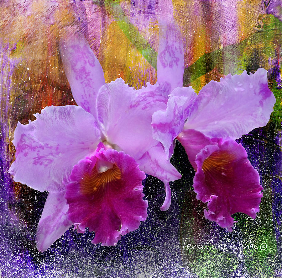 Orchids For Easter Photograph by Lena Wilhite