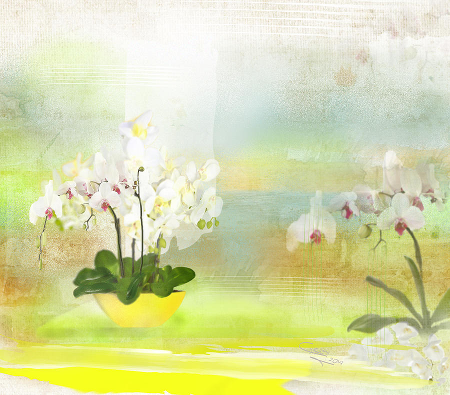 Orchid Digital Art - Orchids - Limited Edition 1 Of 10 by Gabriela Delgado