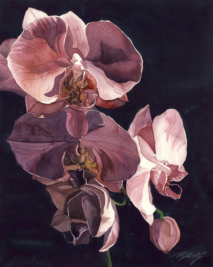 Orchids in pink Painting by Alfred Ng