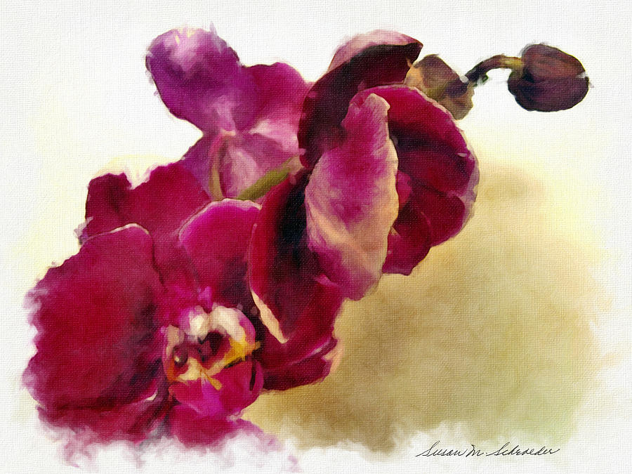 Orchids No. 5 by Susan Schroeder Orchids No. 5 by Susan Schroeder
