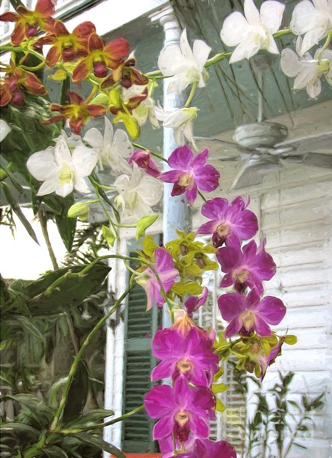 Orchids On The Porch Photograph by Peggy Hughes