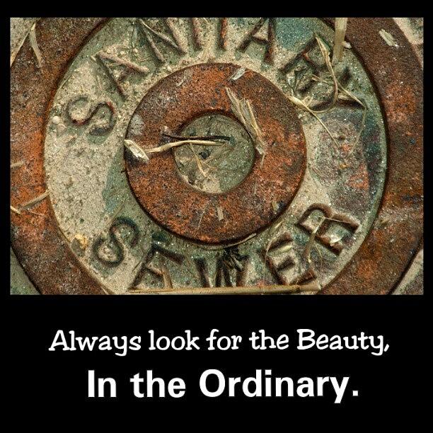 Sewer Cover Photograph - Ordinary Beauty. by Clay Pritchard