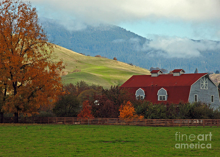 Oregon Barn Photograph by Chuck Flewelling