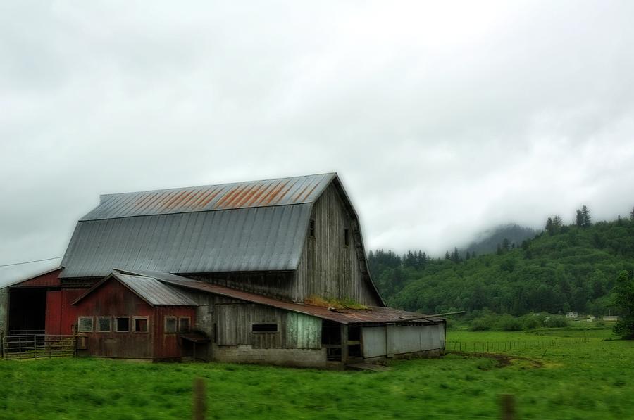Tree Photograph - Oregon - Barn by Image Takers Photography LLC