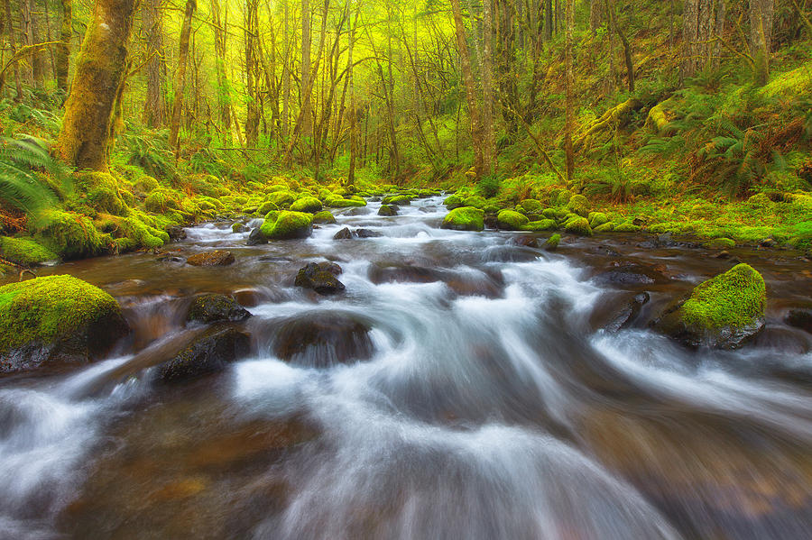 Landscape Photograph - Oregon Beauty by Darren White