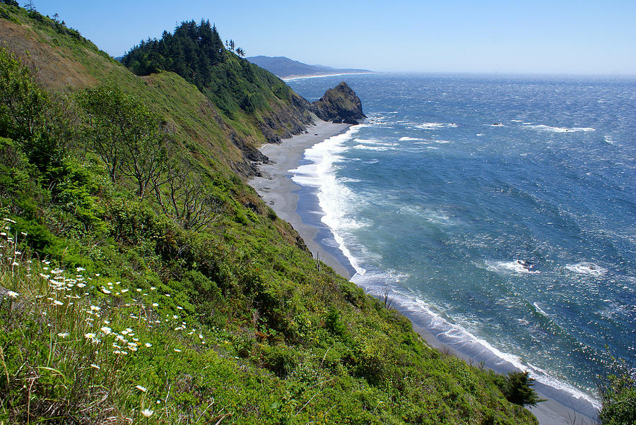 Oregon Coast 2014 Photograph by Ben Upham III