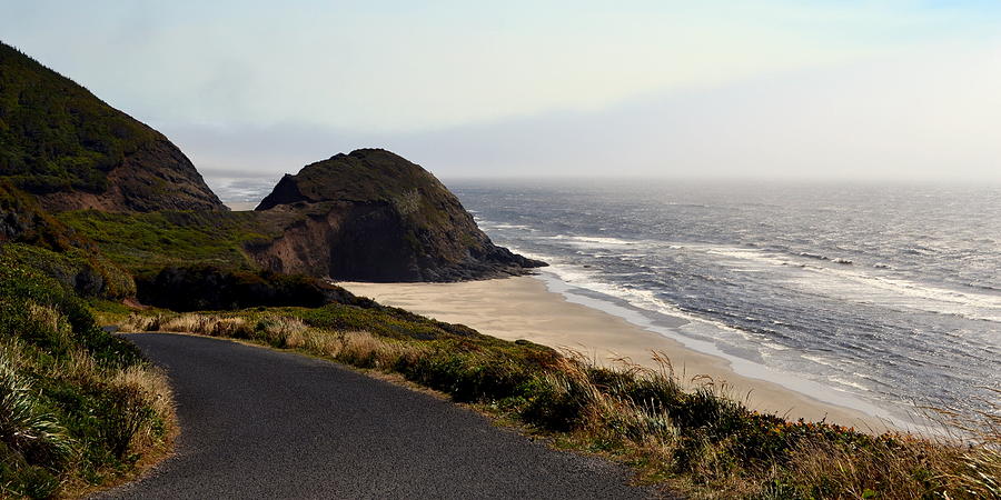 Oregon Coast and Fog Photograph by Michelle Calkins