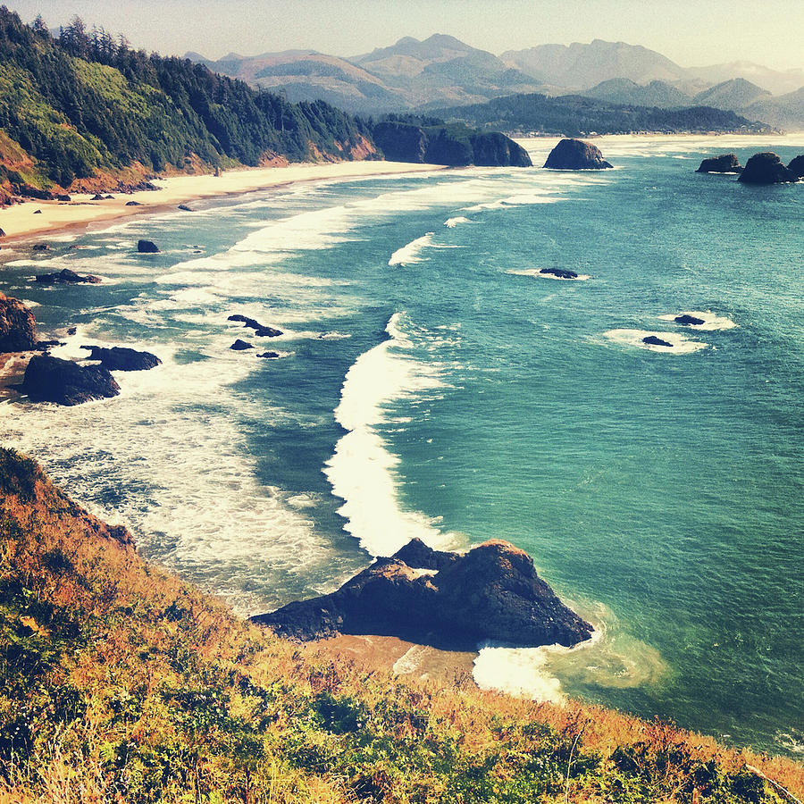 Oregon Coast Photograph by Andipantz