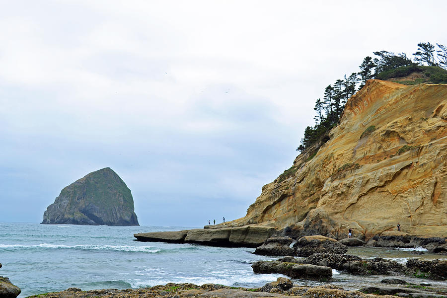 Nature Photograph - Oregon Coast by Ashley Fortier