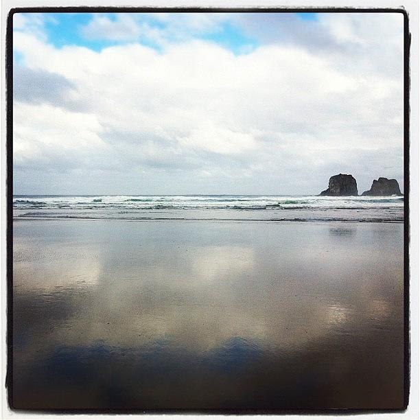 Oregon Coast At My Family Reunion Photograph by Roecious Brooks
