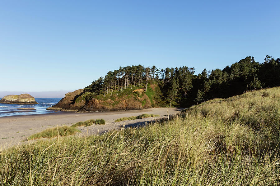 Oregon Coast Beach And Rock Photograph by Sawaya Photography