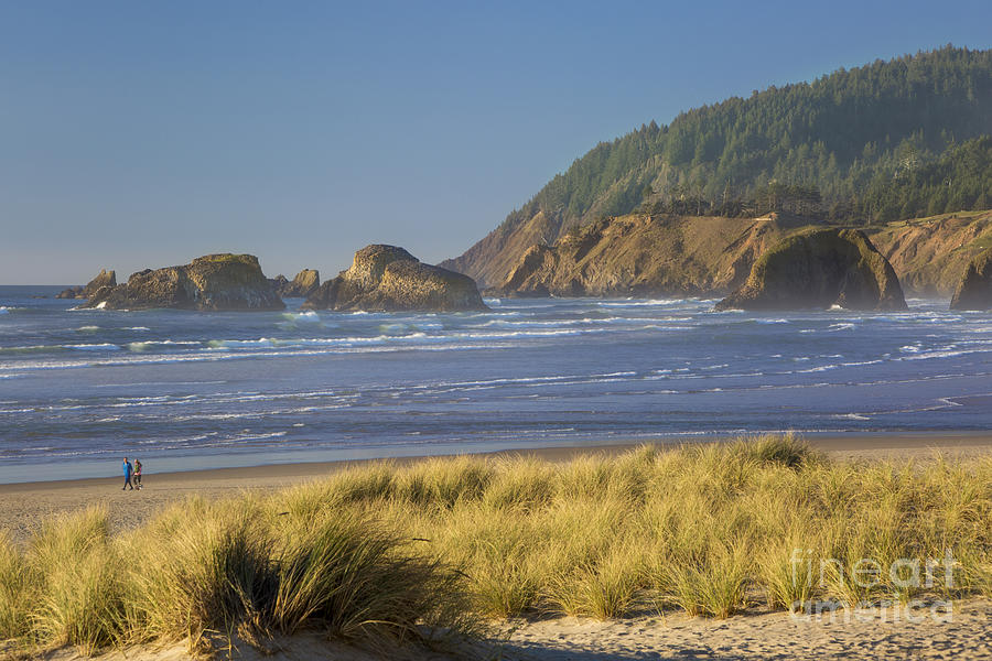 Oregon Coast Photograph by Brian Jannsen