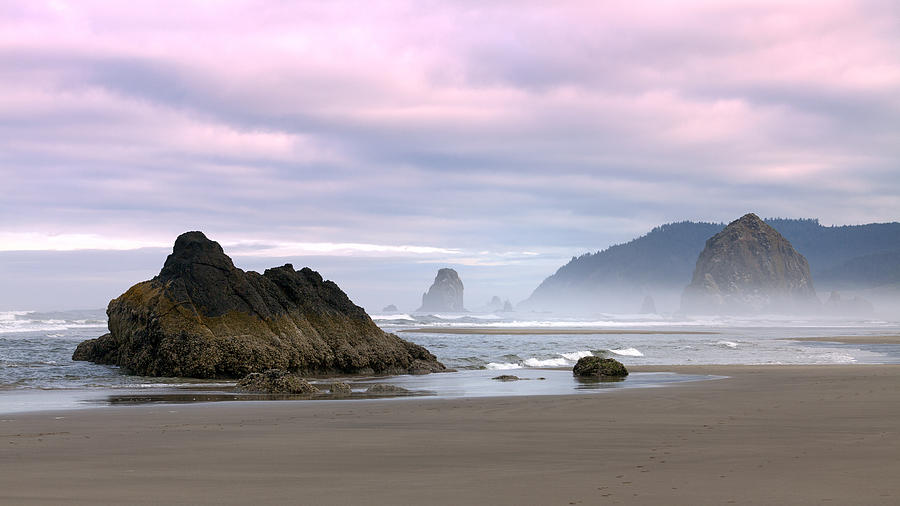 Oregon Coast Cannon Beach Photograph by King Wu - Fine Art America