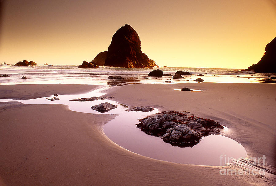 Oregon Coast Photograph by George Ranalli