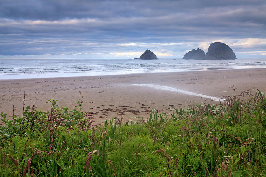 Oregon Coast Photograph by Helminadia