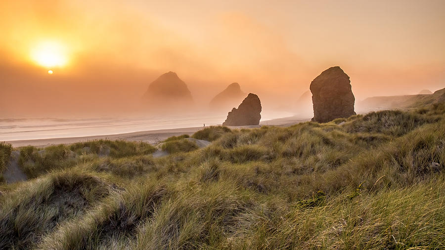 Oregon Coast in the fog at sunset Photograph by Pierre Leclerc Photography