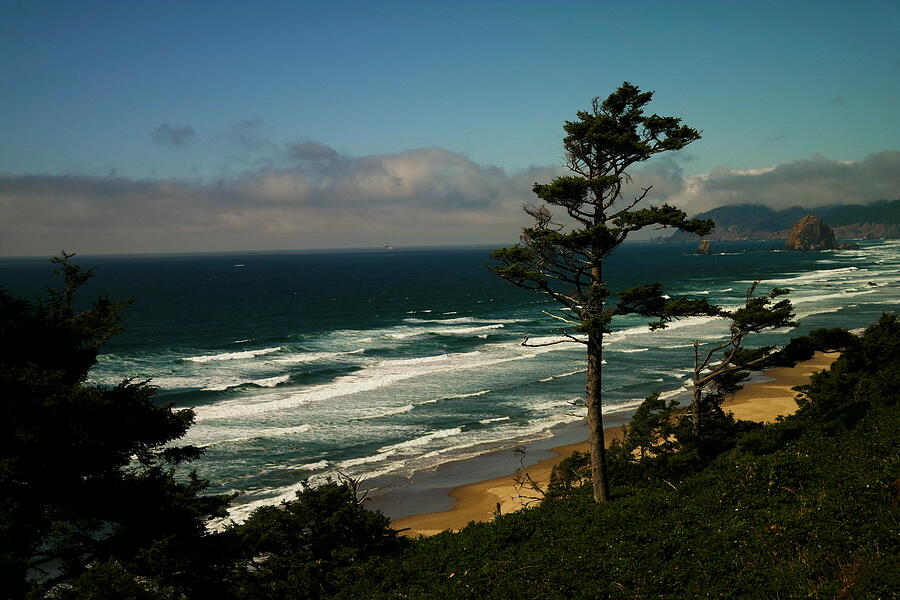 Oregon Coast Photograph by Jeff Swan