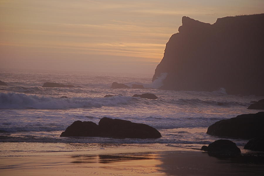 Oregon Coast Photograph by Richard Hinger