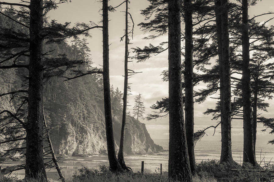 Oregon Coast Photograph by Scott Rackers