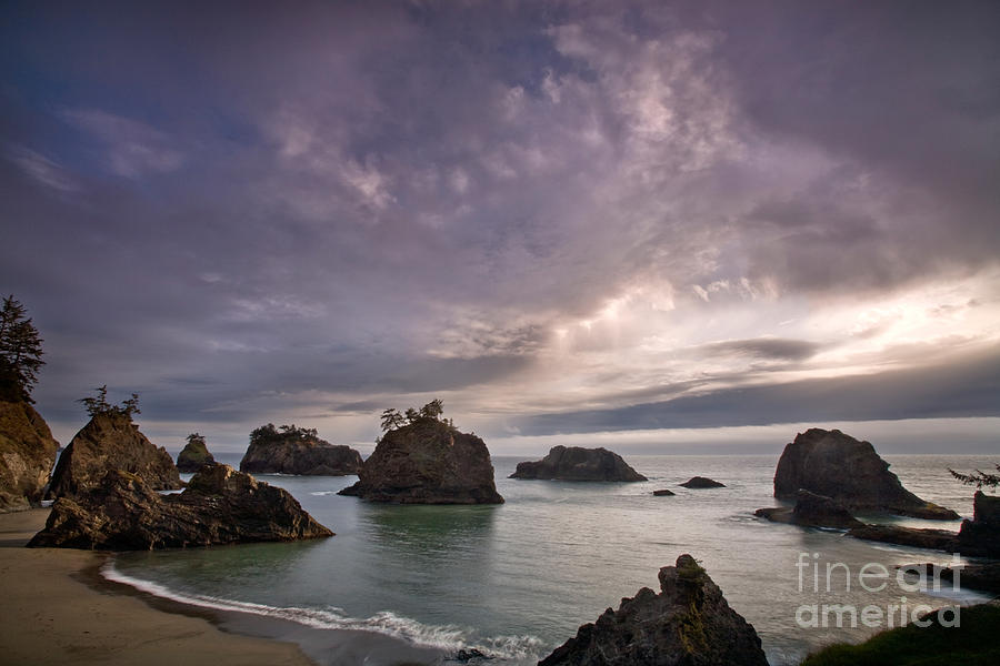 Oregon Coast Photograph by Sean Bagshaw