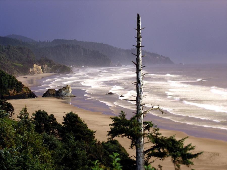 Oregon Coast South Of Cannon Beach Photograph by Robert Lozen