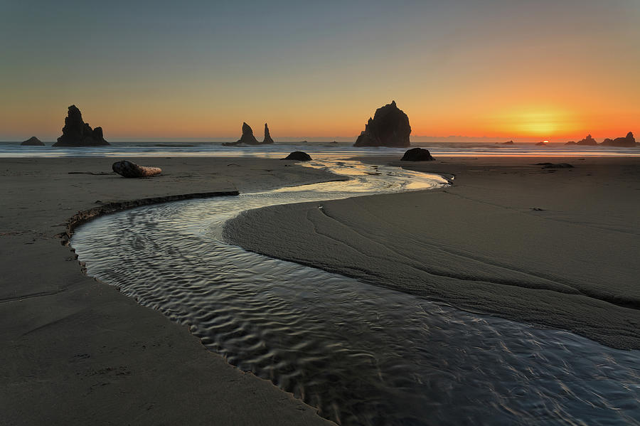 Oregon Coast Sunset Photograph by Helminadia