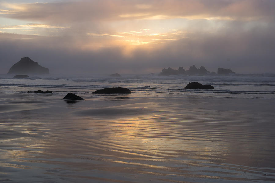Oregon coast Sunset Photograph by Inge Riis McDonald