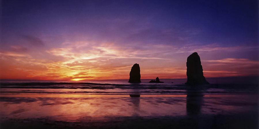 Oregon Coast Sunset Photograph by Wes and Dotty Weber