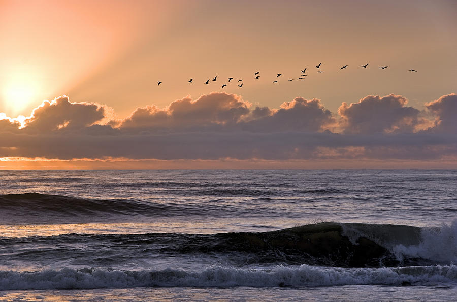 Oregon Coast Twilight Photograph by Paul Riedinger