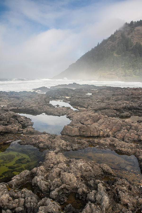 Oregon Coast Photograph by W Chris Fooshee