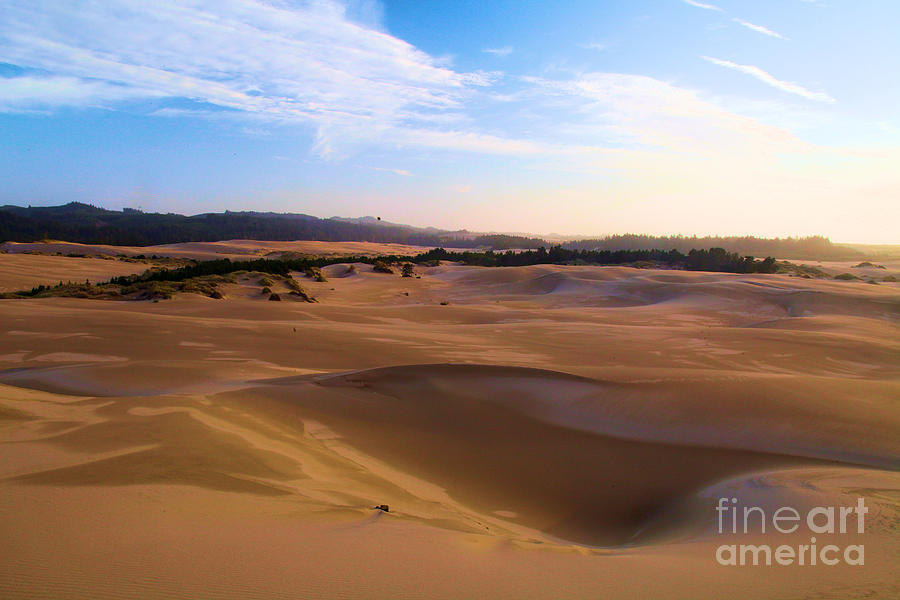 Oregon Dunes Landscape Photograph by Adam Jewell