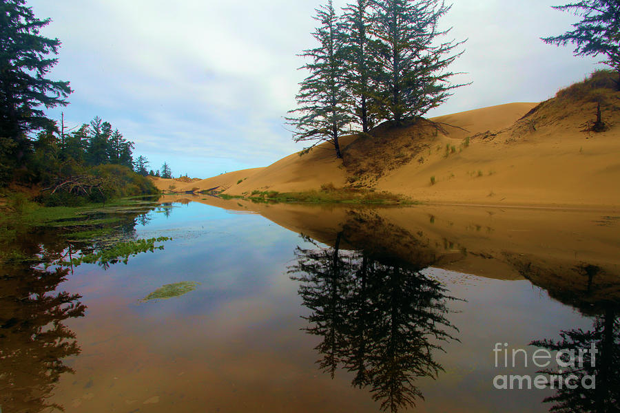 Oregon Dunes Pond Photograph by Adam Jewell
