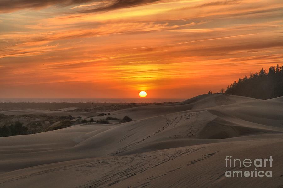 Oregon Dunes Sunset Photograph by Adam Jewell