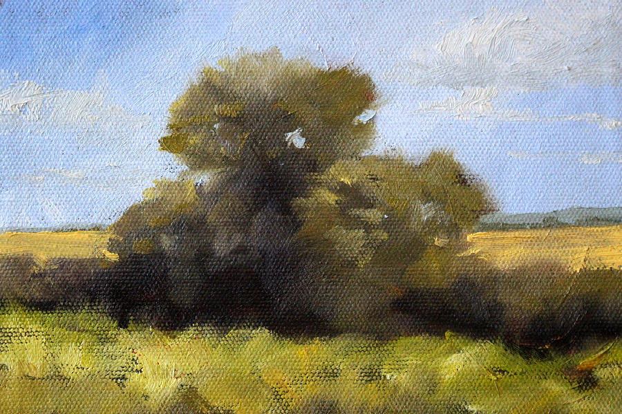 Tree Painting - Oregon Field Study by Nancy Merkle