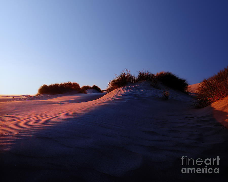Oregon - Florence Sand Dunes Sunset Photograph by Terry Elniski