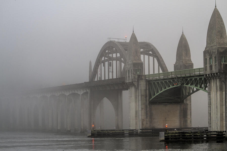 Oregon Fog Photograph by Terry Fiala