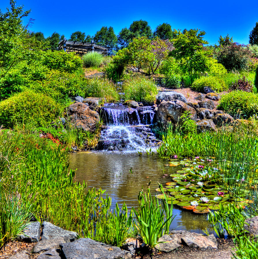 Oregon Garden Pond Photograph by Jonny D