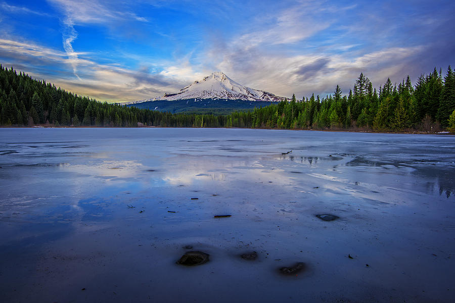 Nature Photograph - Oregon January by Rick Berk