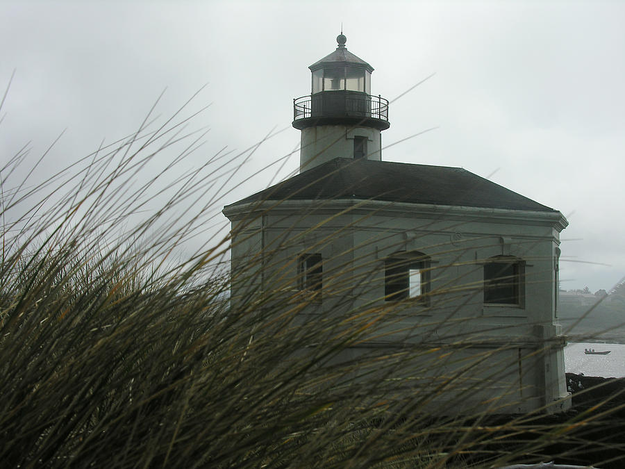 Oregon Lighthouse Photograph by Robert Lozen