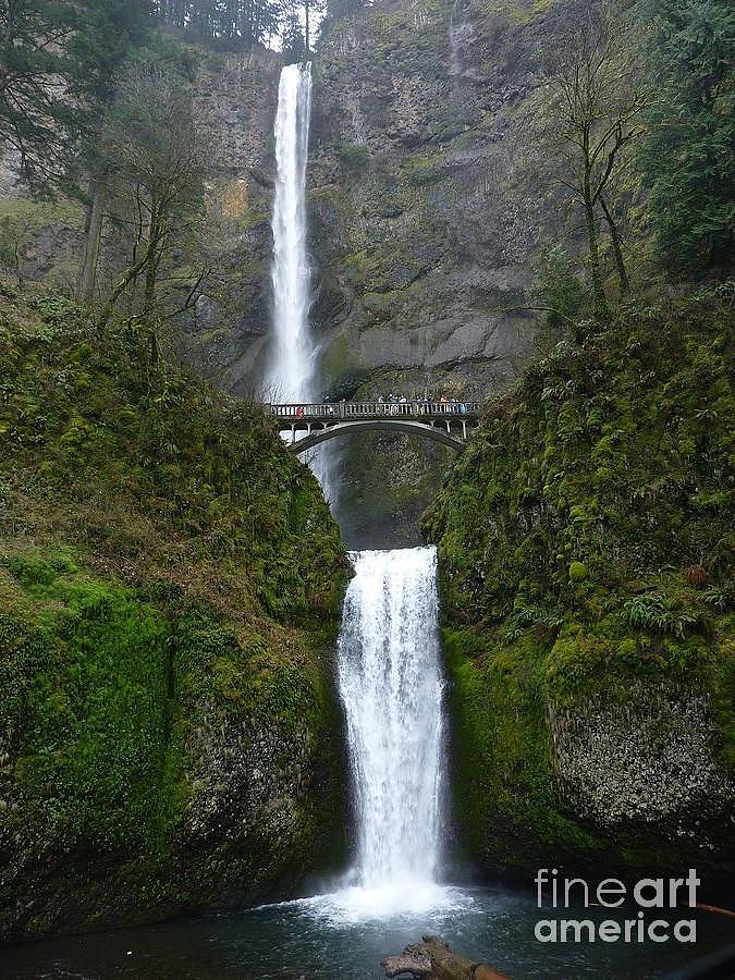 Oregon Long Shot of  Falls Photograph by Susan Garren
